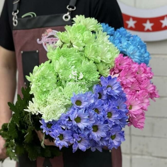 Хризантема кустовая &laquo;Микс&raquo;