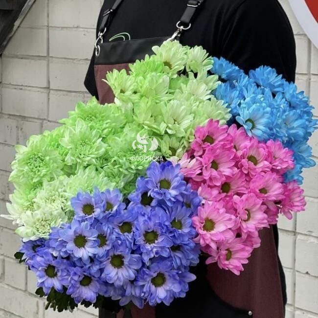 Хризантема кустовая &laquo;Микс&raquo;