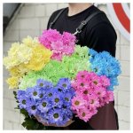 Хризантема кустовая &laquo;Микс&raquo;