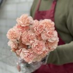 Гвоздика &laquo;Нежно - розовая&raquo;