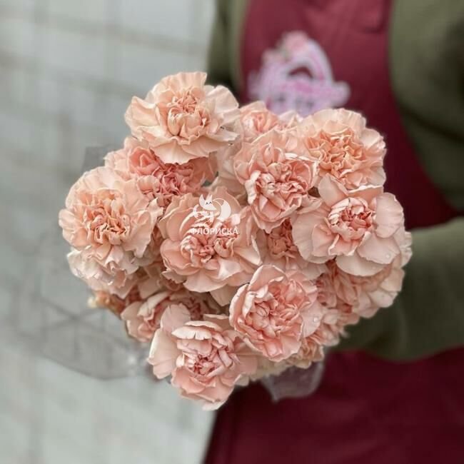 Гвоздика &laquo;Нежно - розовая&raquo;