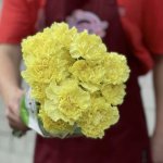 Гвоздика &laquo;Лимонная&raquo;