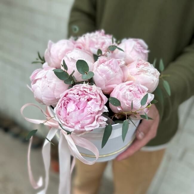 Пионы в коробке &laquo;Провокация любви&raquo;