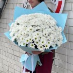 Букет из 51 белой ромашковой хризантемы &laquo;Небесный взгляд&raquo;