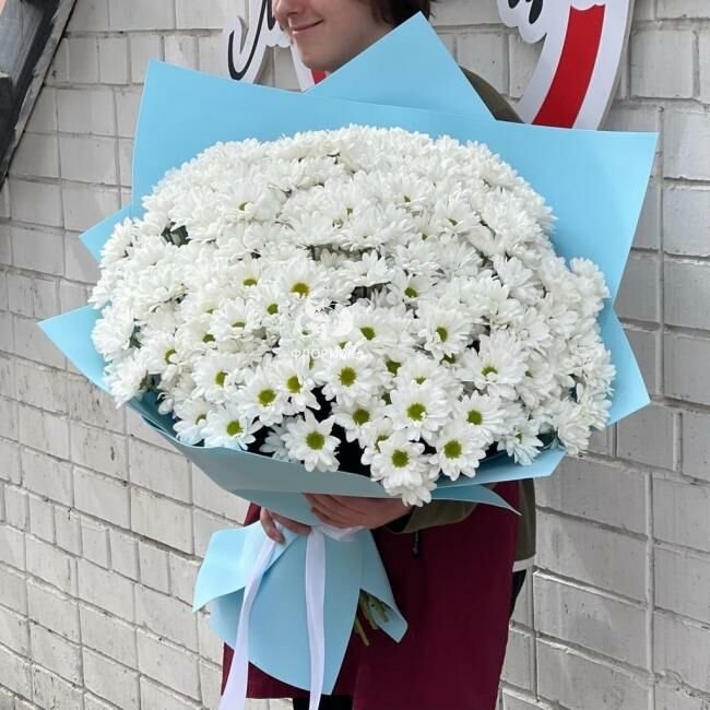 Букет из 51 белой ромашковой хризантемы &laquo;Небесный взгляд&raquo;
