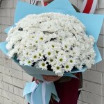 Букет из 51 белой ромашковой хризантемы &laquo;Небесный взгляд&raquo;