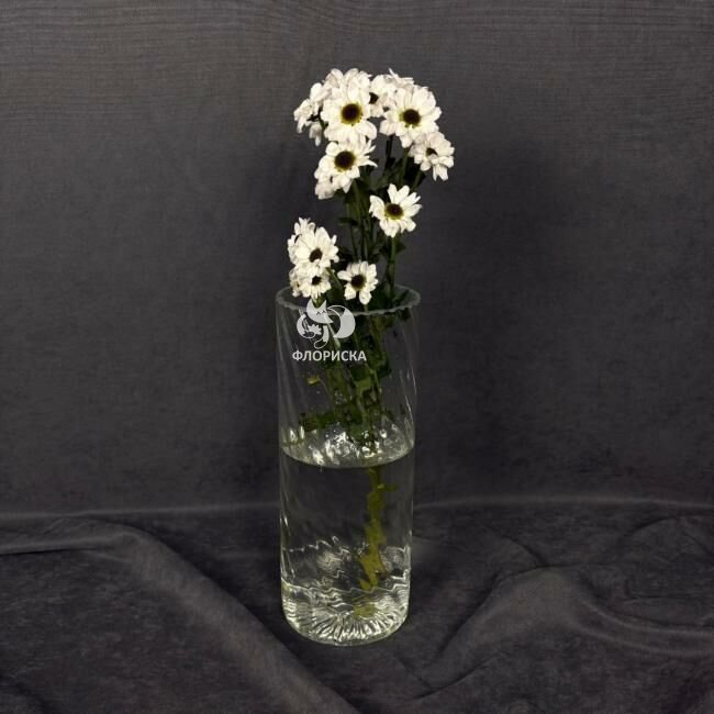 Сантини &laquo;Белая&raquo;