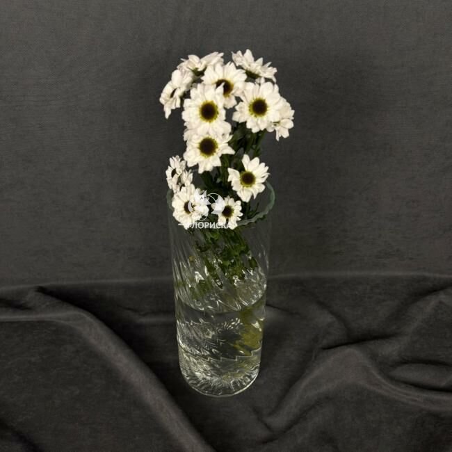 Сантини &laquo;Белая&raquo;