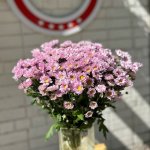 Хризантема сантини &laquo;Сиреневая&raquo;