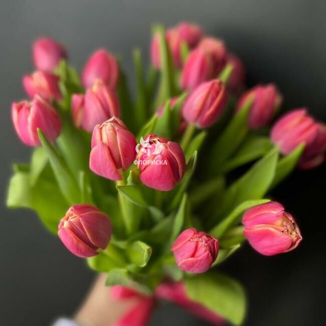 Букет из пионовидных тюльпанов &laquo;Бодрое утро&raquo;