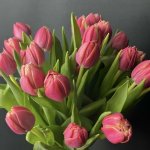 Букет из пионовидных тюльпанов &laquo;Бодрое утро&raquo;