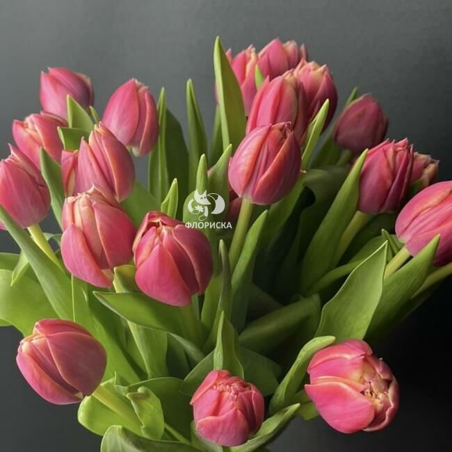 Букет из пионовидных тюльпанов &laquo;Бодрое утро&raquo;