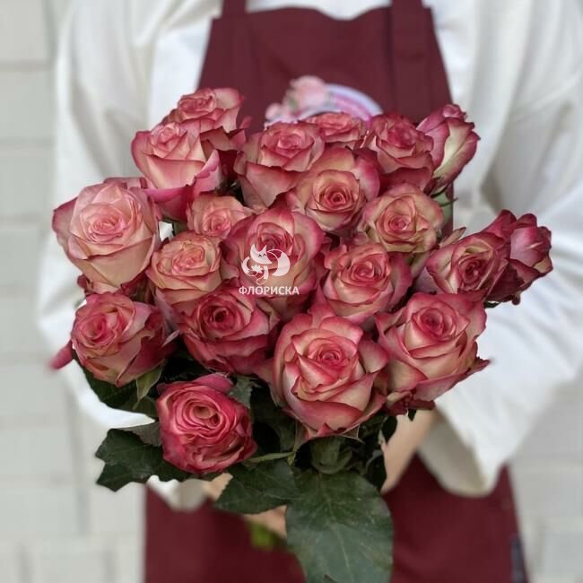 Роза &laquo;Палома&raquo;