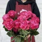 Роза &laquo;Кантри Блюз&raquo;