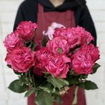 Роза &laquo;Кантри Блюз&raquo;