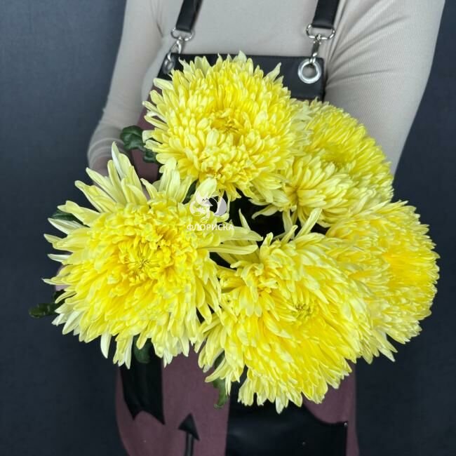 Хризантема одноголовая &laquo;Жёлтая&raquo;