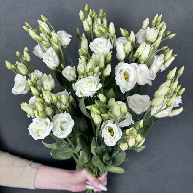 Эустома &laquo;Кремовая&raquo;