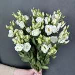 Эустома &laquo;Кремовая&raquo;