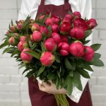 Пион &laquo;Ярко-розовый&raquo;