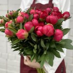 Пион &laquo;Ярко-розовый&raquo;