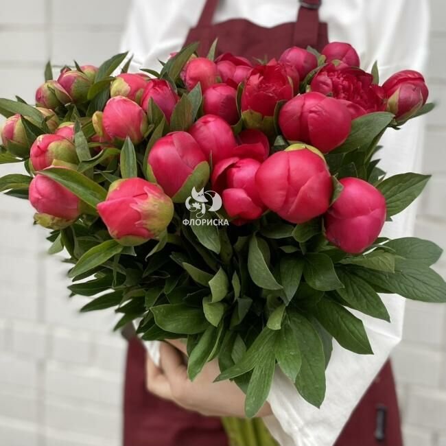 Пион &laquo;Ярко-розовый&raquo;