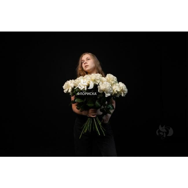 Роза французская &laquo;Белая&raquo;