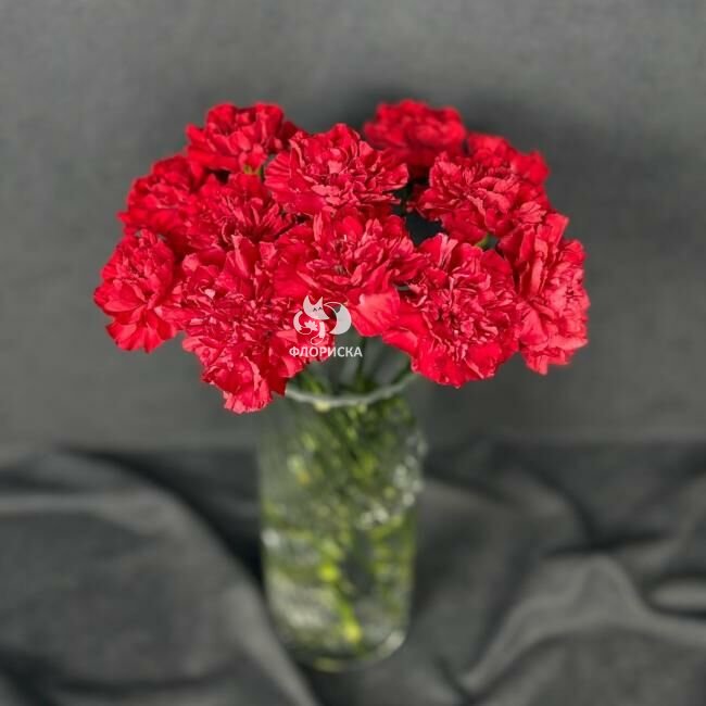 Гвоздика красная поштучно &laquo;Красная&raquo;
