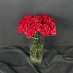 Гвоздика красная поштучно &laquo;Красная&raquo;