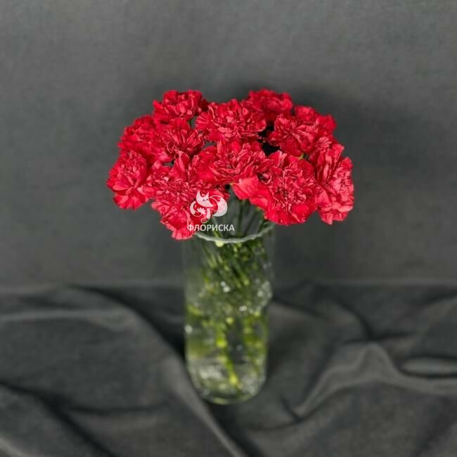 Гвоздика красная поштучно &laquo;Красная&raquo;