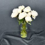 Пион &laquo;Белый&raquo;