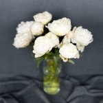 Пион &laquo;Белый&raquo;