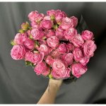 Кустовая роза &laquo; Сиреневая&raquo;