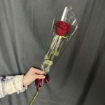 Букет с розой &laquo;Строгость&raquo;