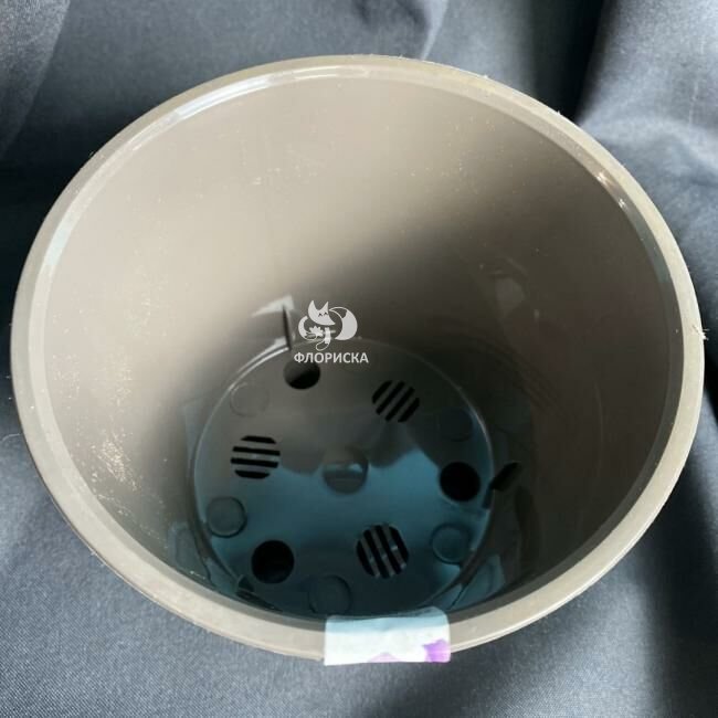 Кашпо &laquo;Латин&raquo;