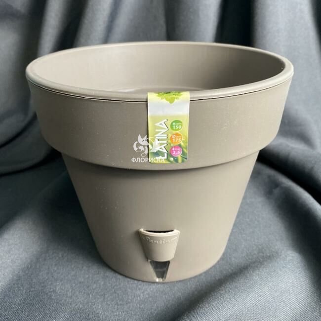 Кашпо &laquo;Латин&raquo;