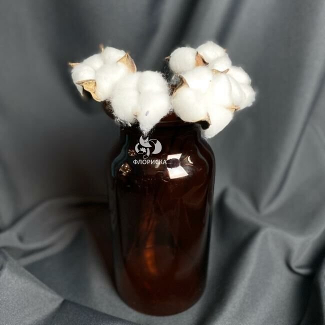 Ваза &laquo;Банка&raquo;