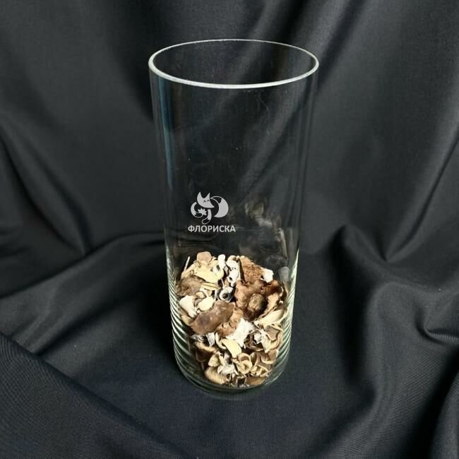 Ваза &laquo;Цилиндр&raquo; прозрачная