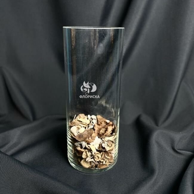 Ваза &laquo;Цилиндр&raquo; прозрачная