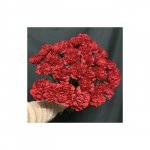 Букет с гвоздиками &laquo;Жизнь&raquo;