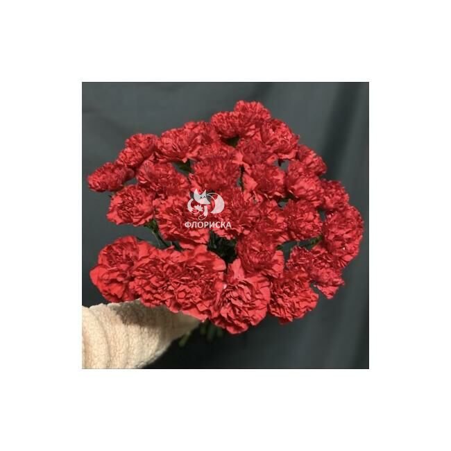 Букет с гвоздиками &laquo;Жизнь&raquo;