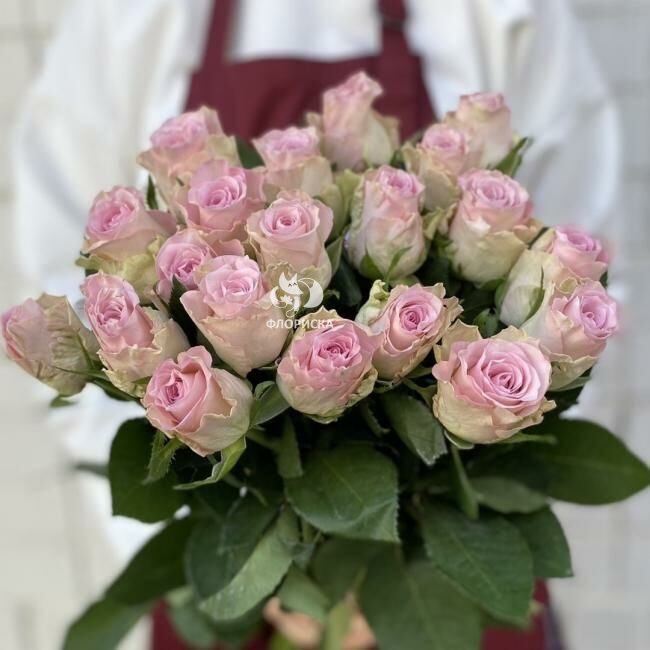 Роза &laquo; Нежная кения&raquo;