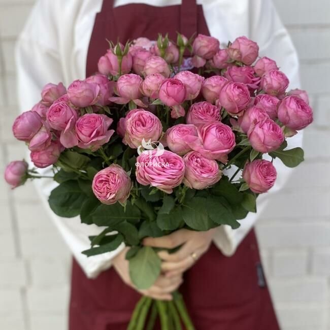 Кустовая роза &laquo;Бомбастик&raquo;