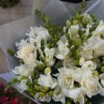 Букет из белой фрезии &laquo;Дизайн&raquo;