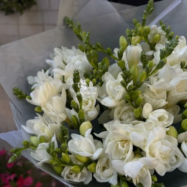 Букет из белой фрезии &laquo;Дизайн&raquo;