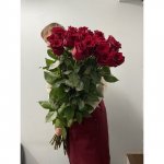 15 метровых роз &laquo;Фурор&raquo;