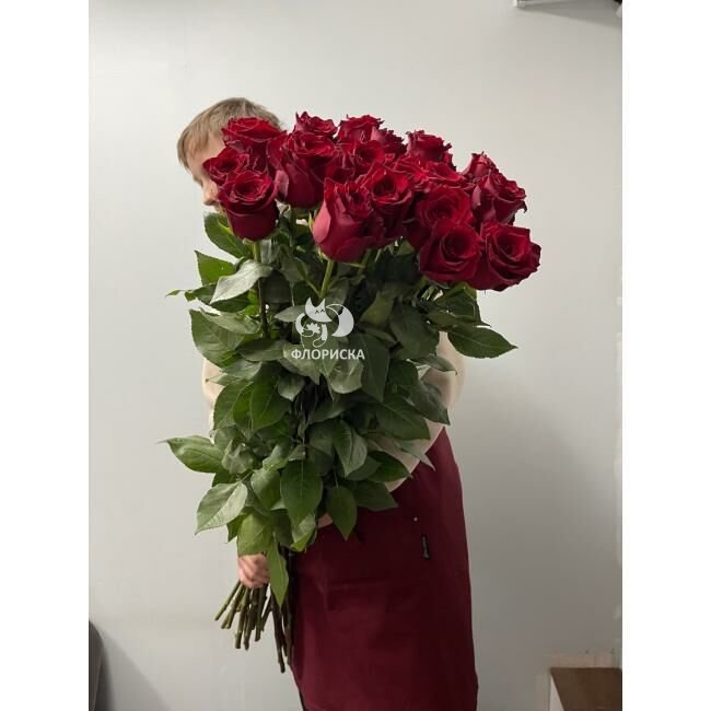 15 метровых роз &laquo;Фурор&raquo;