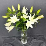 Лилия &laquo;Белая&raquo;&lrm;