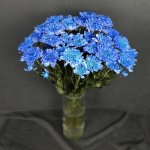 Хризантема кустовая &laquo;Алтай Синий&raquo;