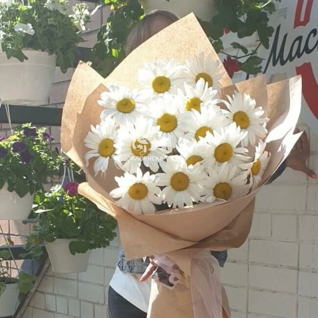 Ромашка &laquo;Крупная&raquo;