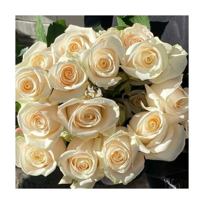 Роза &laquo;Кендилайт&raquo;